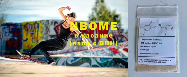 индика Кадников