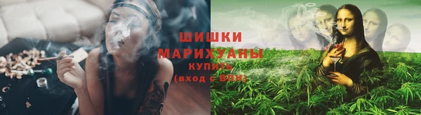 spice Белокуриха