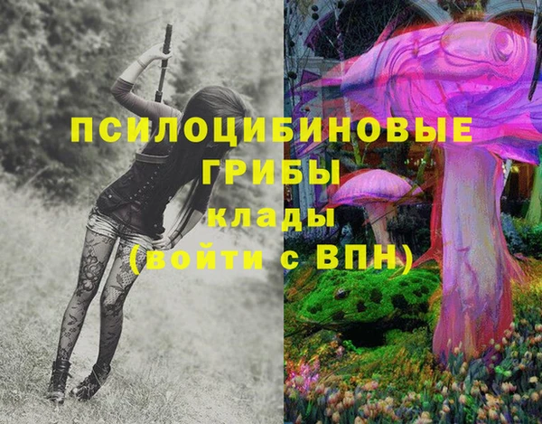 spice Белокуриха